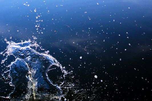 IIREC Study: Qi-Home Cell & Geopathic Zones and Water Quality