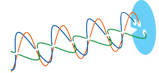 Depolarisiert